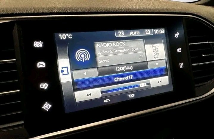 1000020218.jpg Peugeot 308