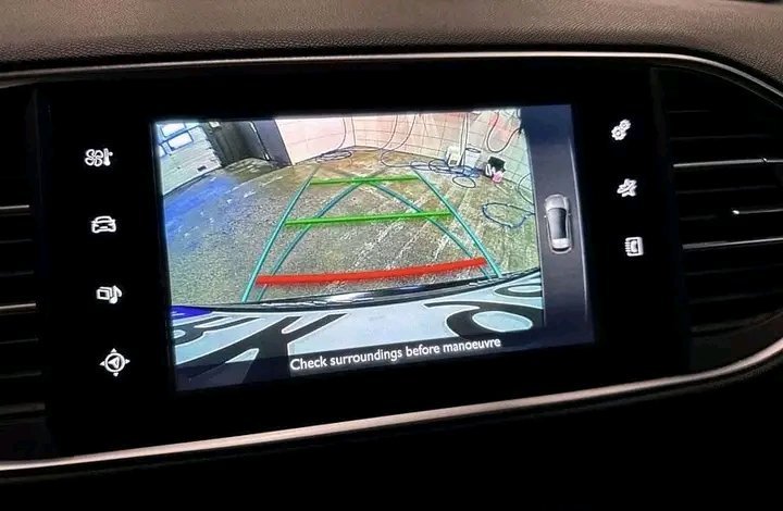 1000020219.jpg Peugeot 308