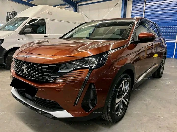 1000021266.jpg Peugeot 5008