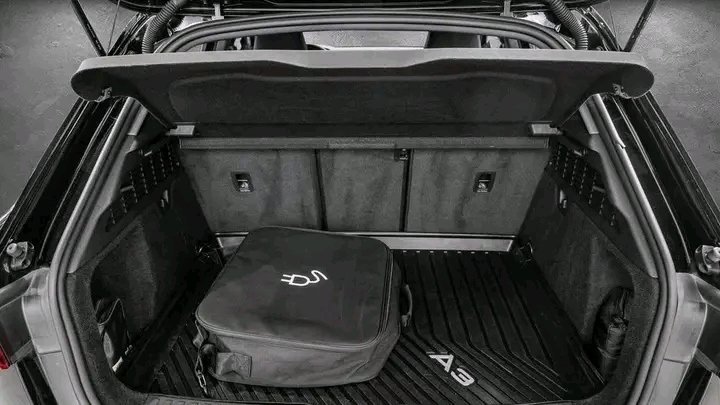 1000024571.jpg Audi A3