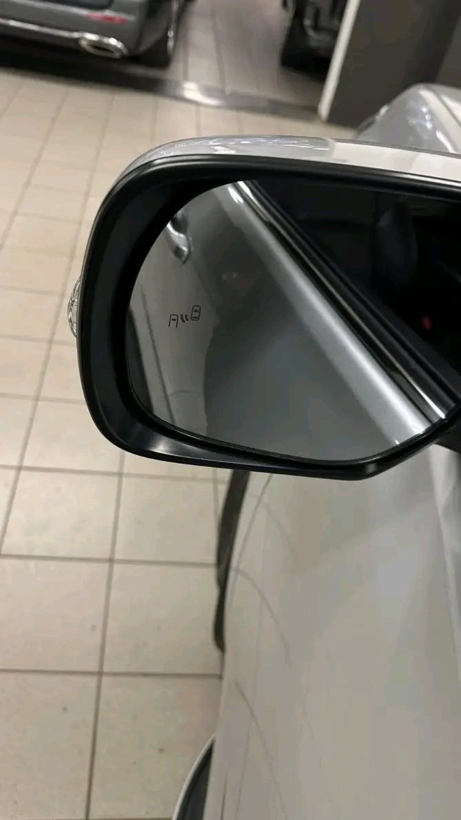 1000024851.jpg Toyota Land Cruiser