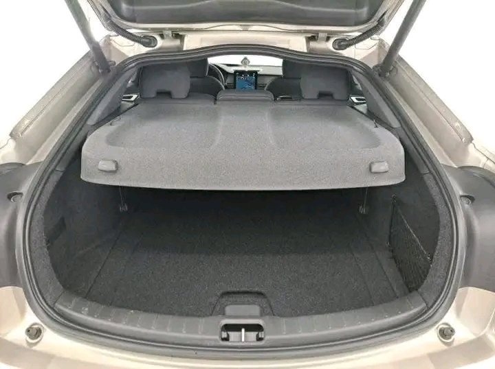 1000026066.jpg Polestar 2 Standard Range