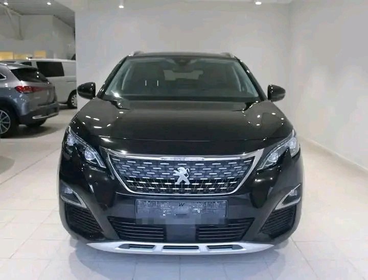 1000029610.jpg Peugeot 3008