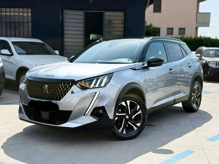 1749032261578.jpg Peugeot 2008 BlueHDi