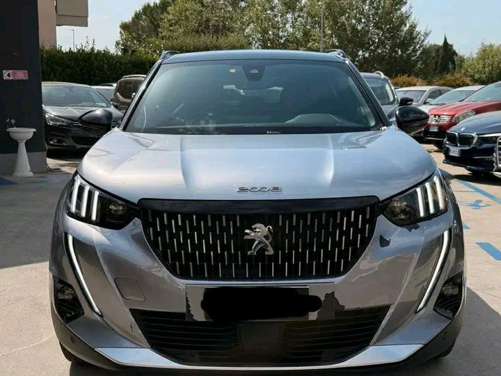 1749032265969.jpg Peugeot 2008 BlueHDi