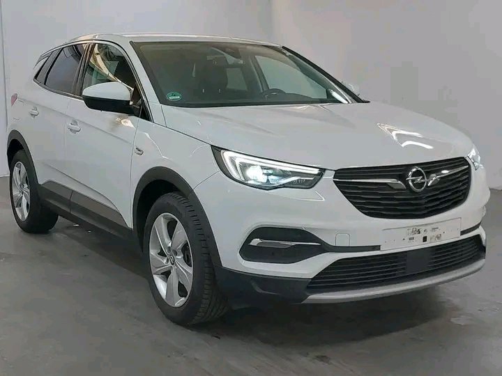 1749811316498.jpg Opel Crossland