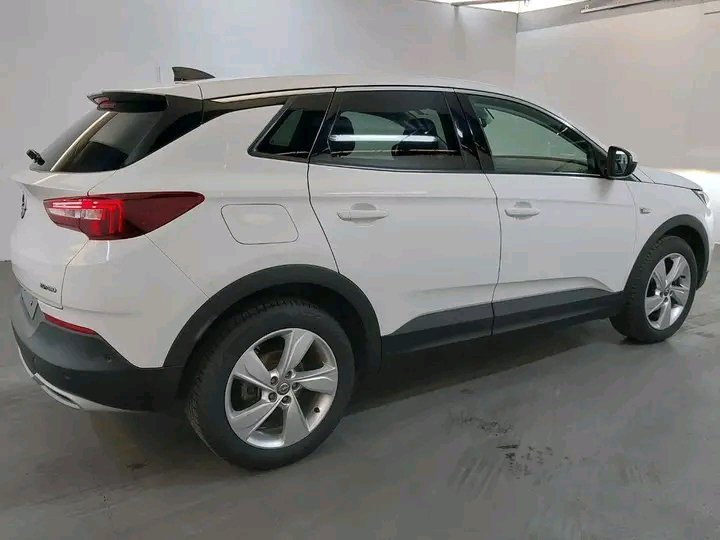 1749811318284.jpg Opel Crossland