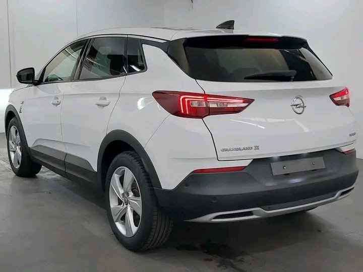 1749811333170.jpg Opel Crossland